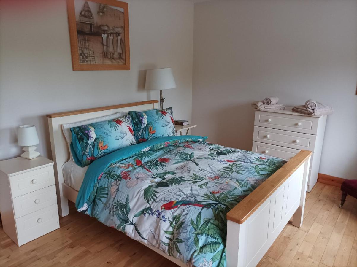 Country Lane Homestay Westport Bagian luar foto